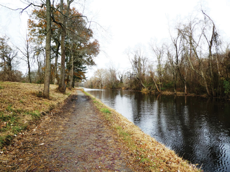 A Healthy Walk Through History and Community
