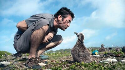 The Beauty and Shock of Today’s Environment