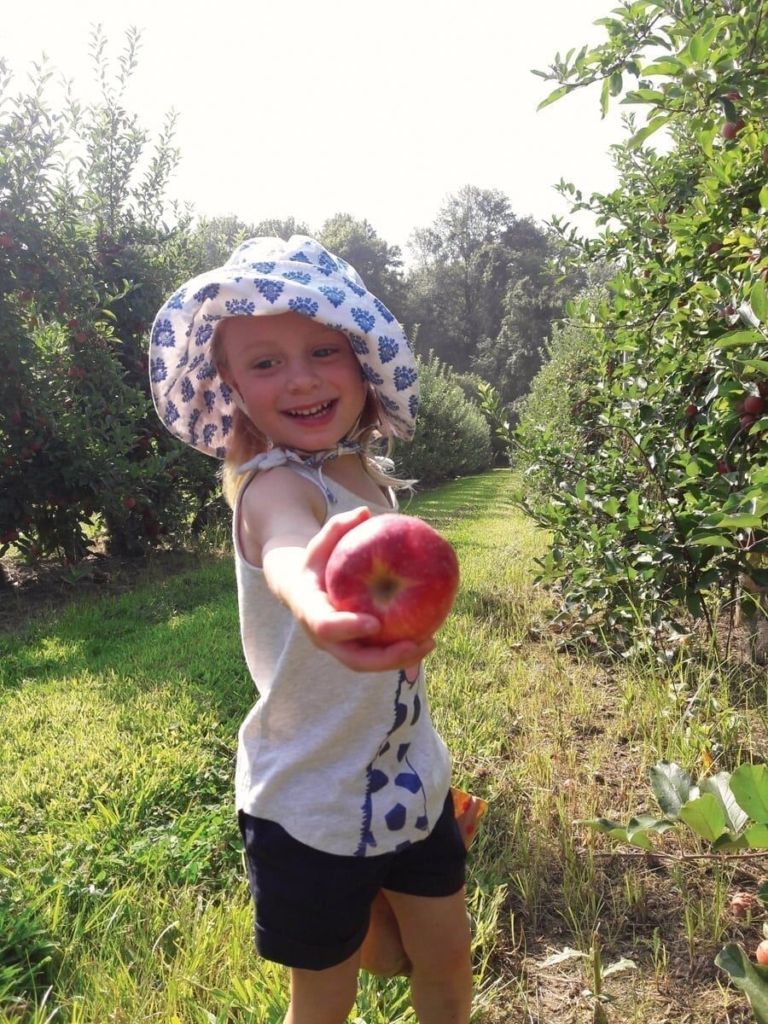 Terhune Orchards: Seven Fun Filled Weekends of Apple Days Harvest Festivals
