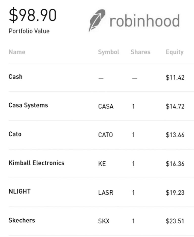 The Perfect Company: Portfolio Stocks in Five Companies