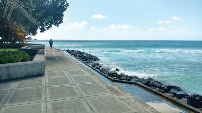 Letter From Barbados