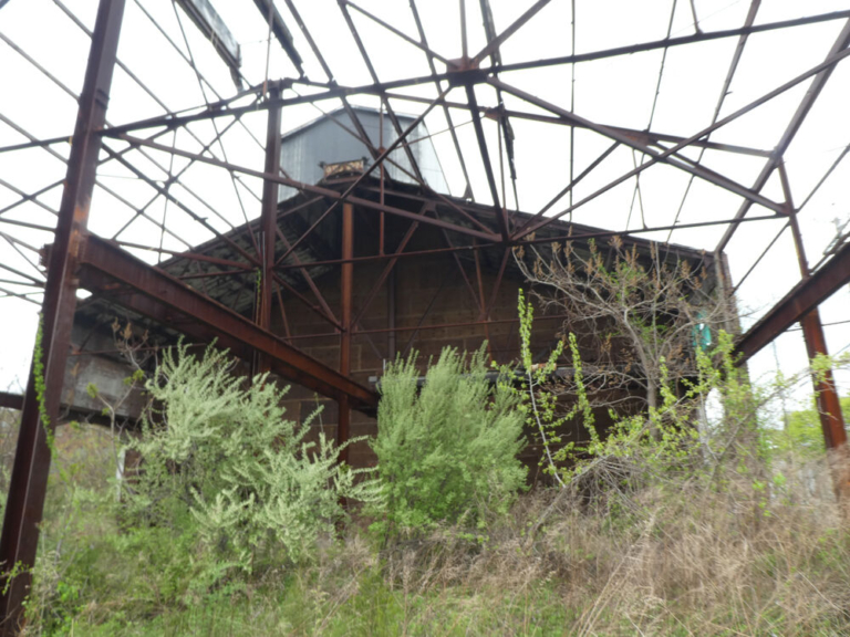 Hope for a Wasteland, Dashed by Politics