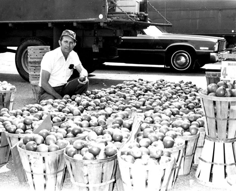 Trenton Farmers Market: Farm Fresh Food with a Rich History