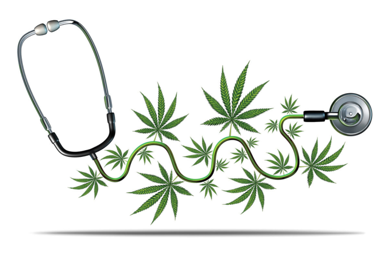 Medical Marijuana Grows in the Garden State