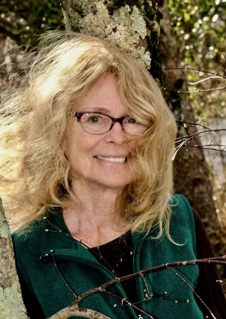 Pollinators, Food, and Climate Change