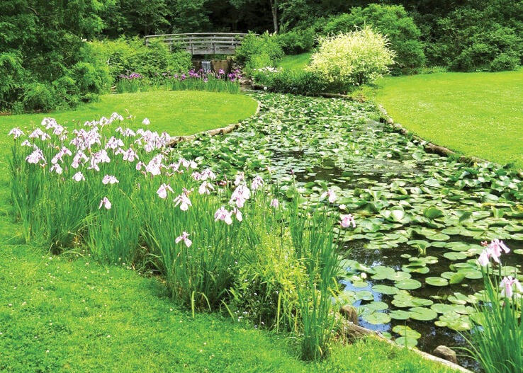 An Unusual Rock Garden Just a Stone’s Throw Away