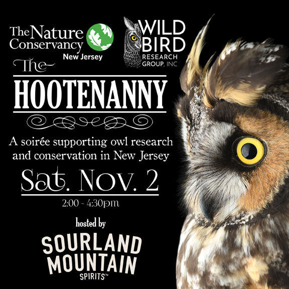 Sourland Mountain Spirits: All About Nature