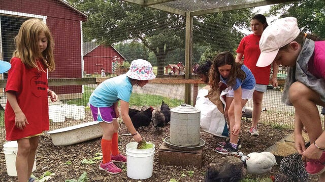 Terhune Orchards