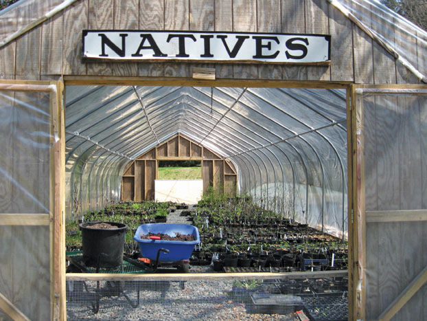 Time to Get Back to the Garden and Go Native