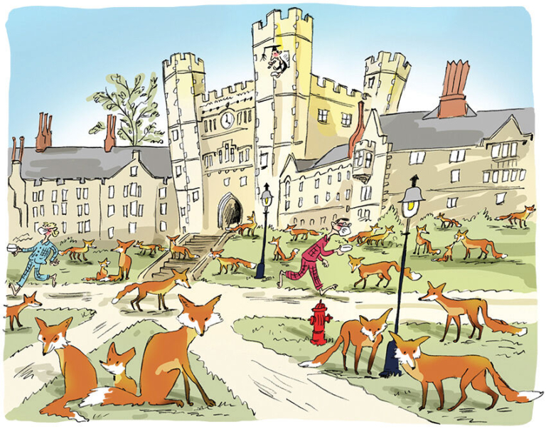 When the Foxes Play