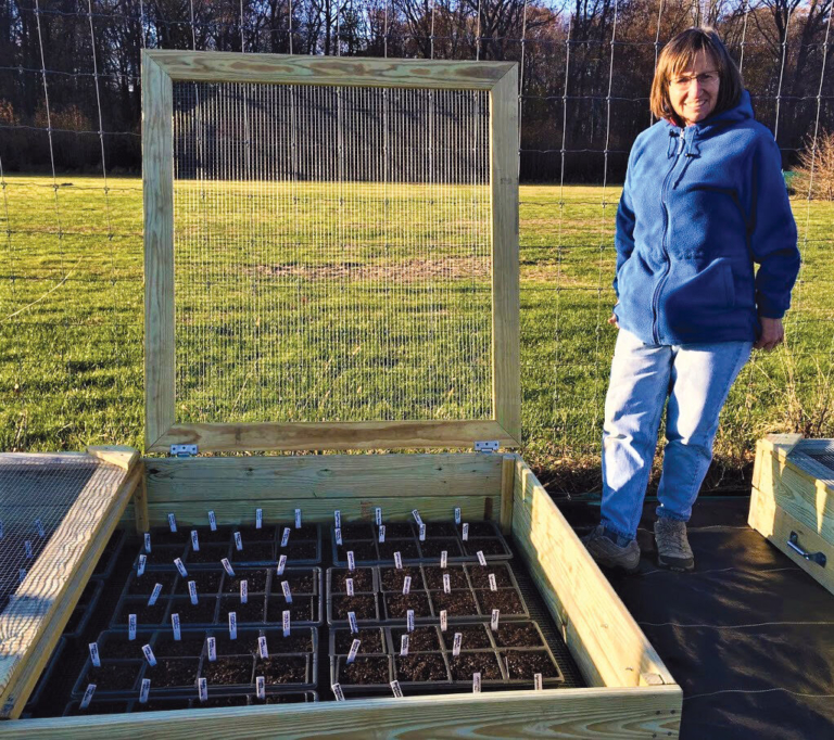 Learning to Heal the Earth in the Time of COVID