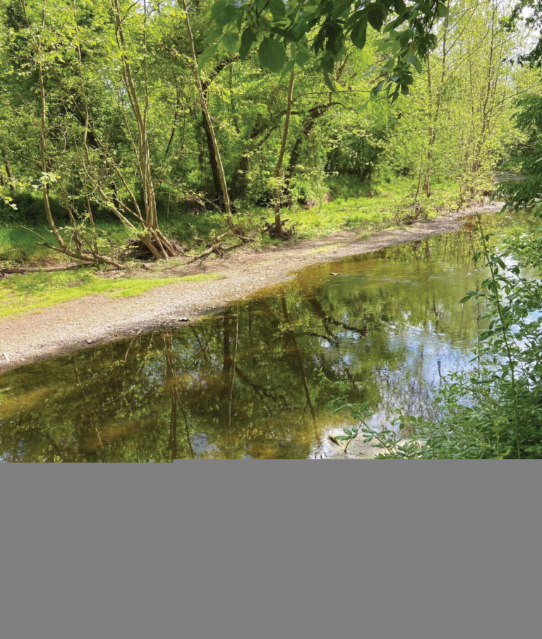 Kate’s Trail in the Spring of the Coronavirus
