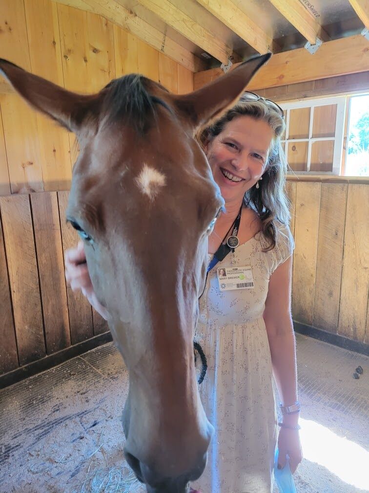 Carrier Clinic Welcomes Their Newest Equine Friend