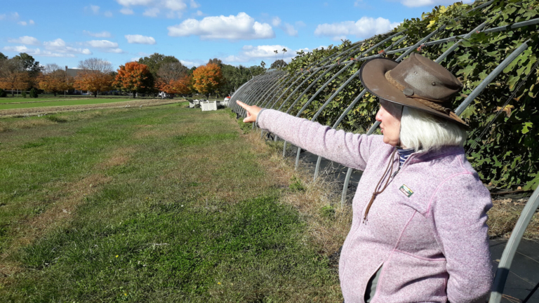 Garden State Harvest Chilled by Climate and Consumer Changes
