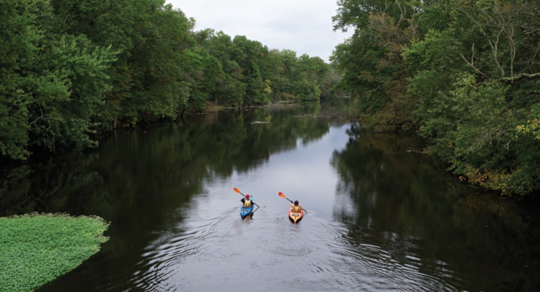Environmental Film Festival Returns at Princeton Library
