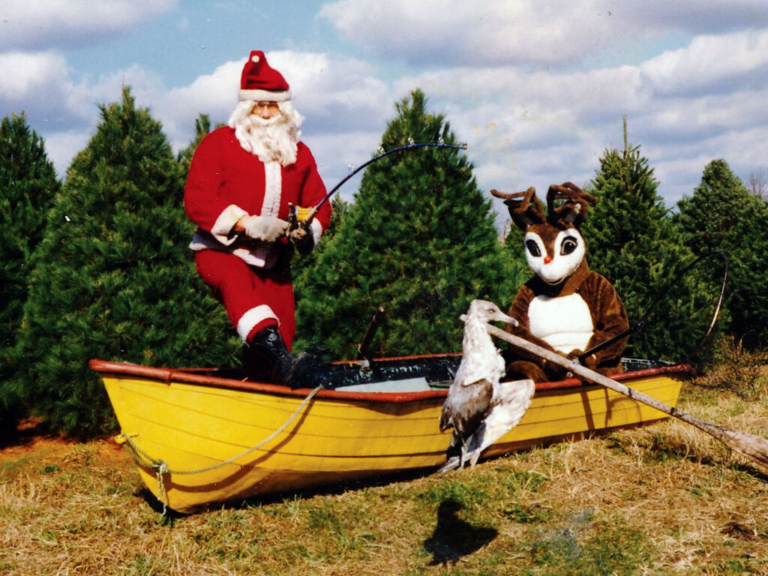 How Picture-Imperfect South Pole Cards Delivered Holiday Cheer