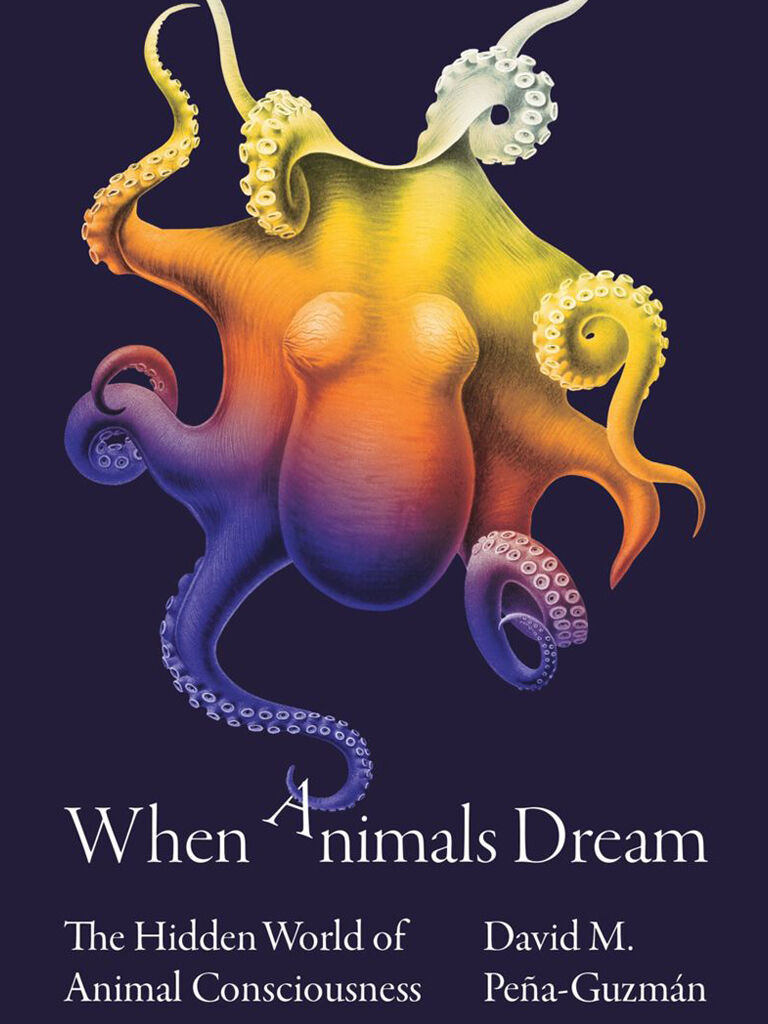 Off the Presses: New Releases Offer An Escape