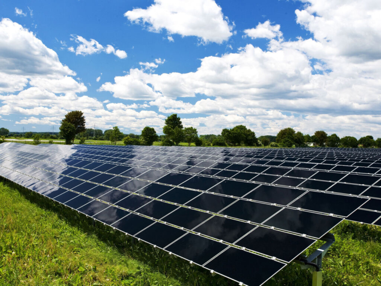 Going Green in Mercer County
