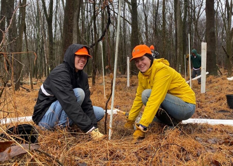 To the Editor: Over 25,000 New Trees (and Counting) in the Sourlands