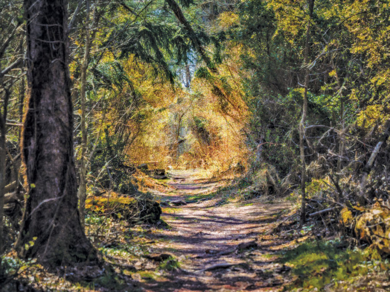 FOPOS Announces 2023 Photo Contest