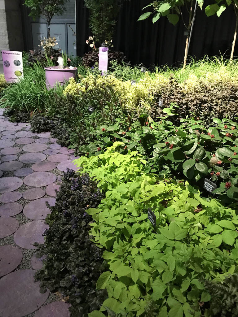 To the Editor: Mercer County Entries Shine at Philly Flower Show
