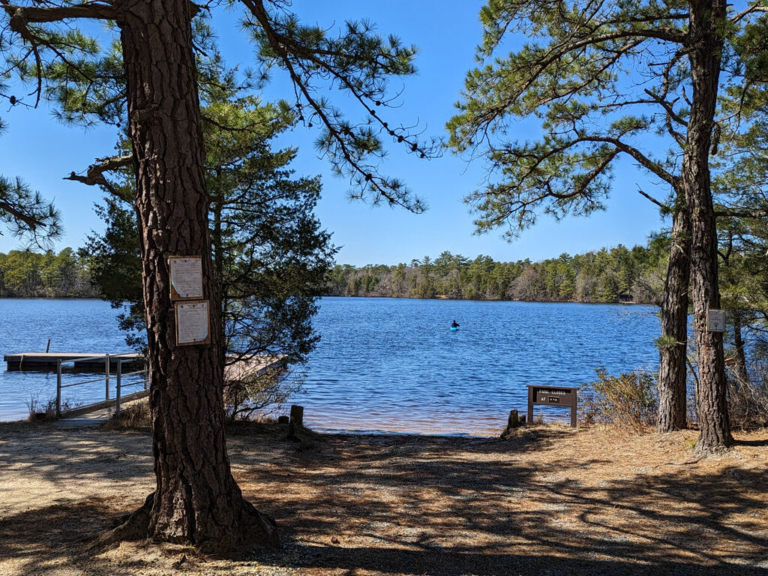 Next Stop: A New Jersey Pinelands Adventure