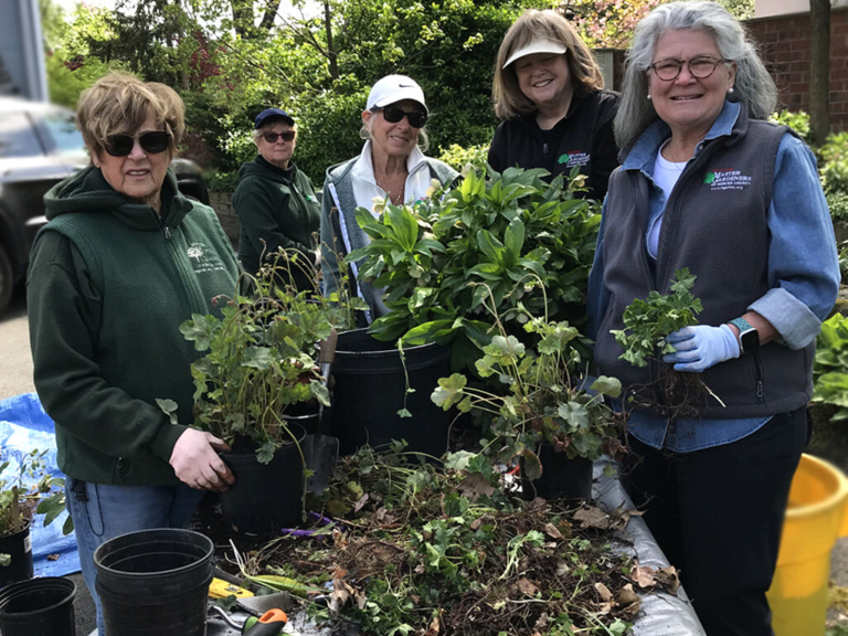 Master Gardeners Dig in for County Plant Sale