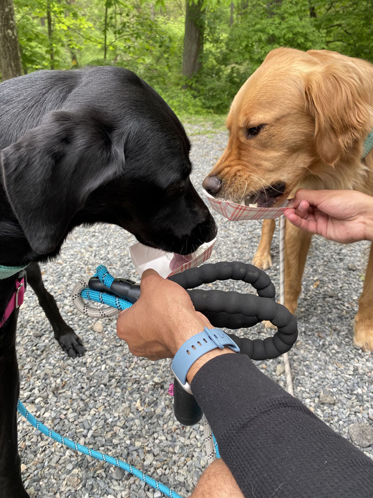 ‘Paws for Our Cause’ A Success
