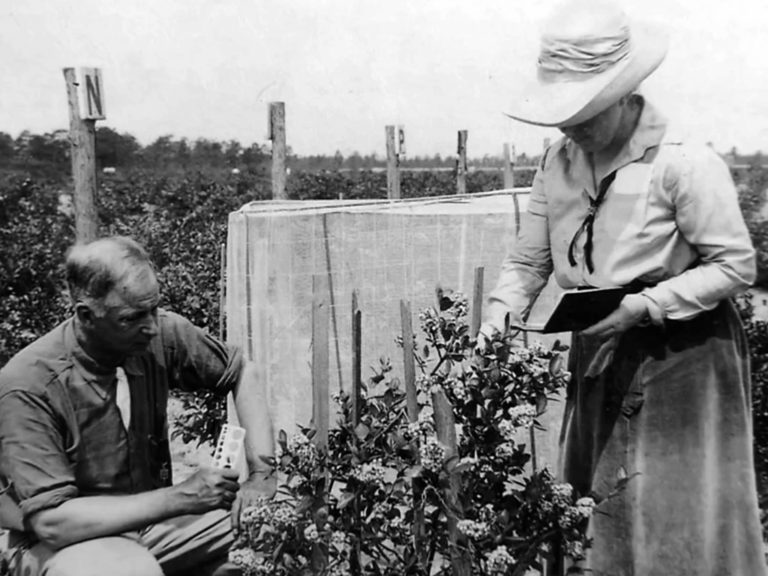 Thank This New Jersey Woman for Your Blueberries