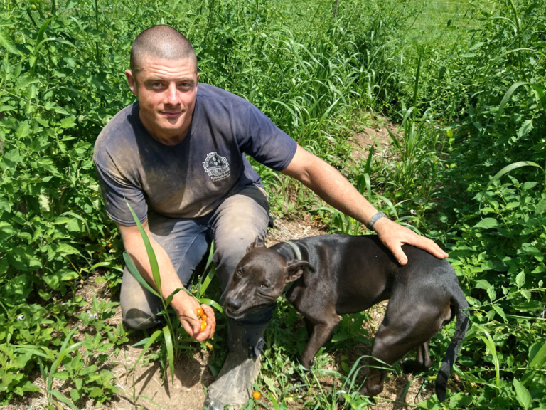 Celebrate NJ Farmers — and the Trusty Tomato