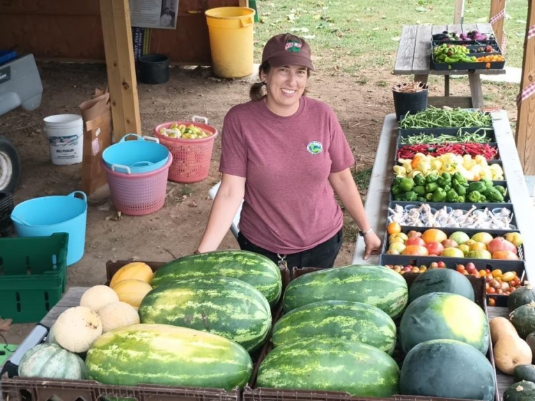 Finding a Path from Law to Draft Horses to Urban Farm
