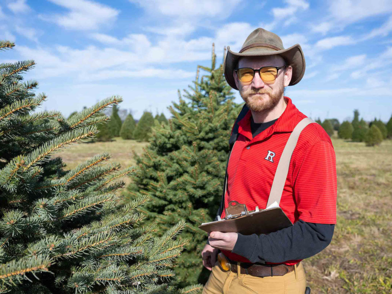 Rutgers News: How to Choose the Perfect Christmas Tree