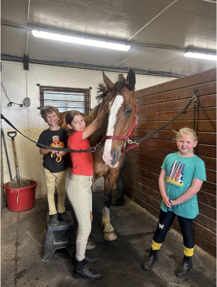 Duncraven Equestrian Center: Calling All Horse Lovers