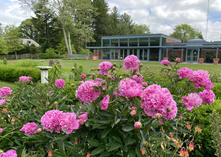 How Does Your Garden Grow?