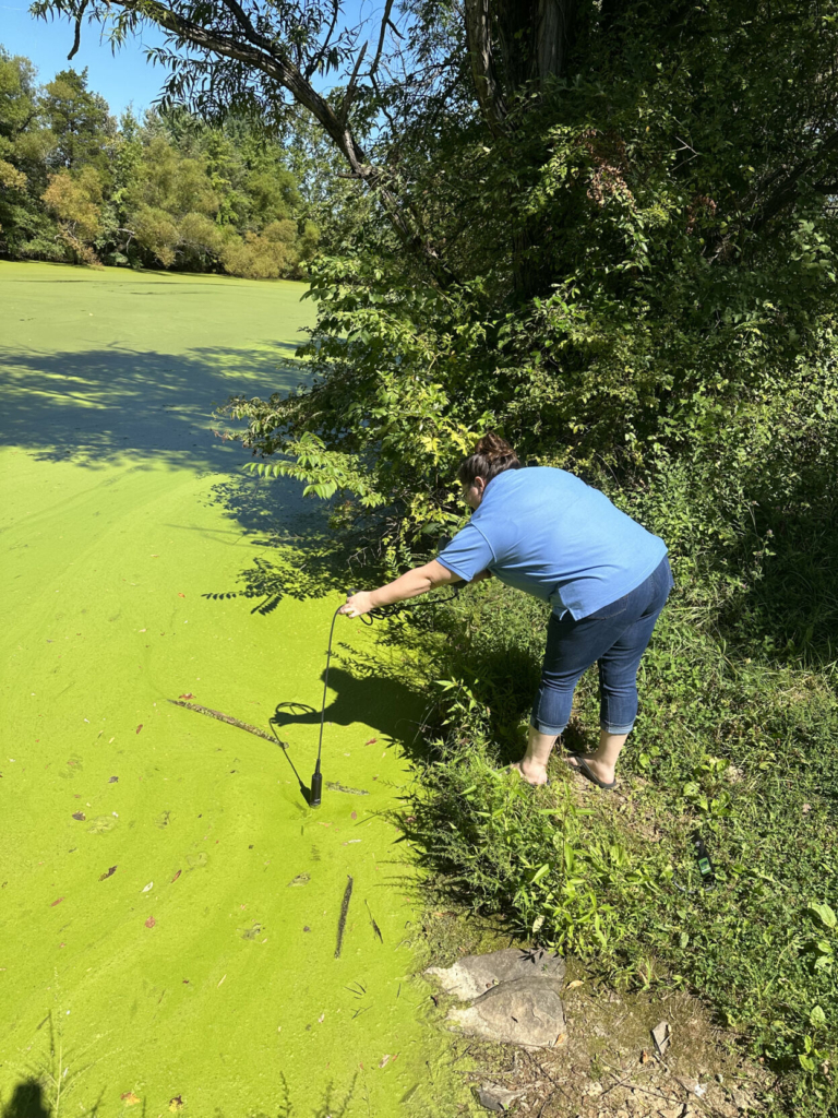 Watershed Issues Warning on Harmful Algal Blooms