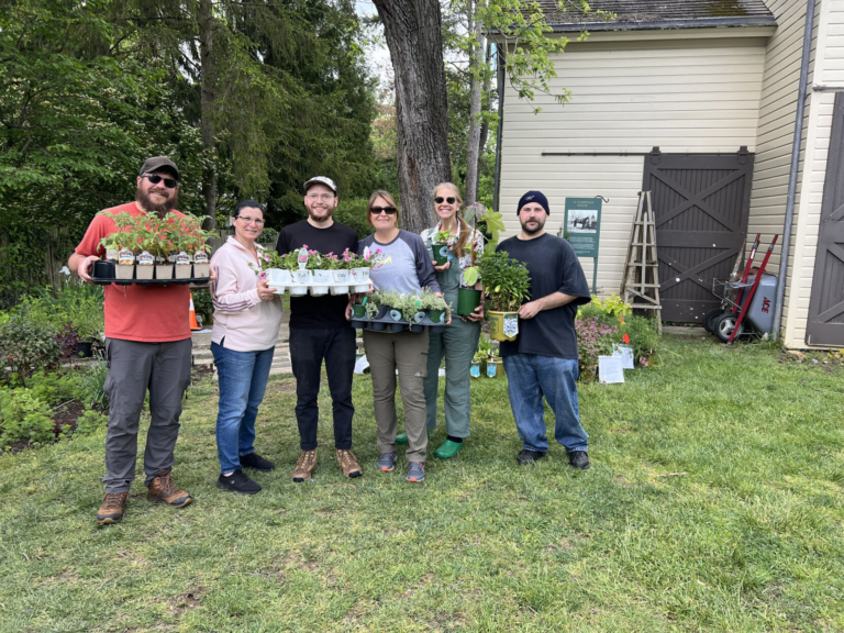 Community Opportunities