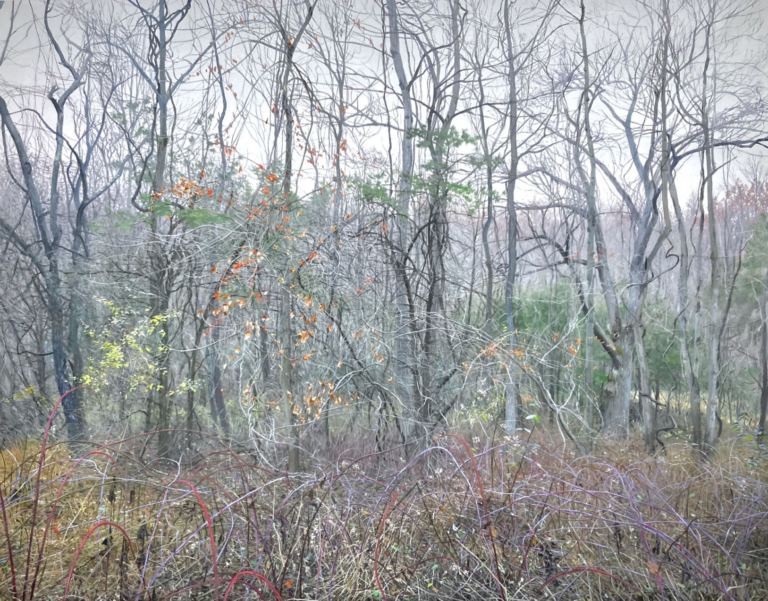 Behind the Art at Ellarslie Open 42