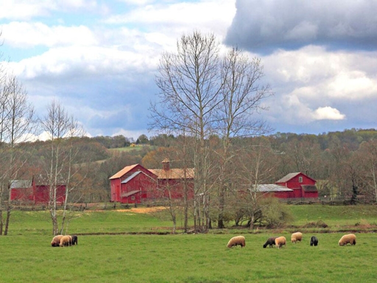 Howell Living History Farm to Expand